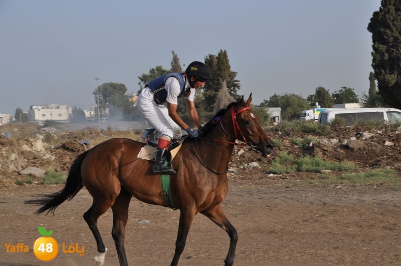 kheil sebaq (19).JPG